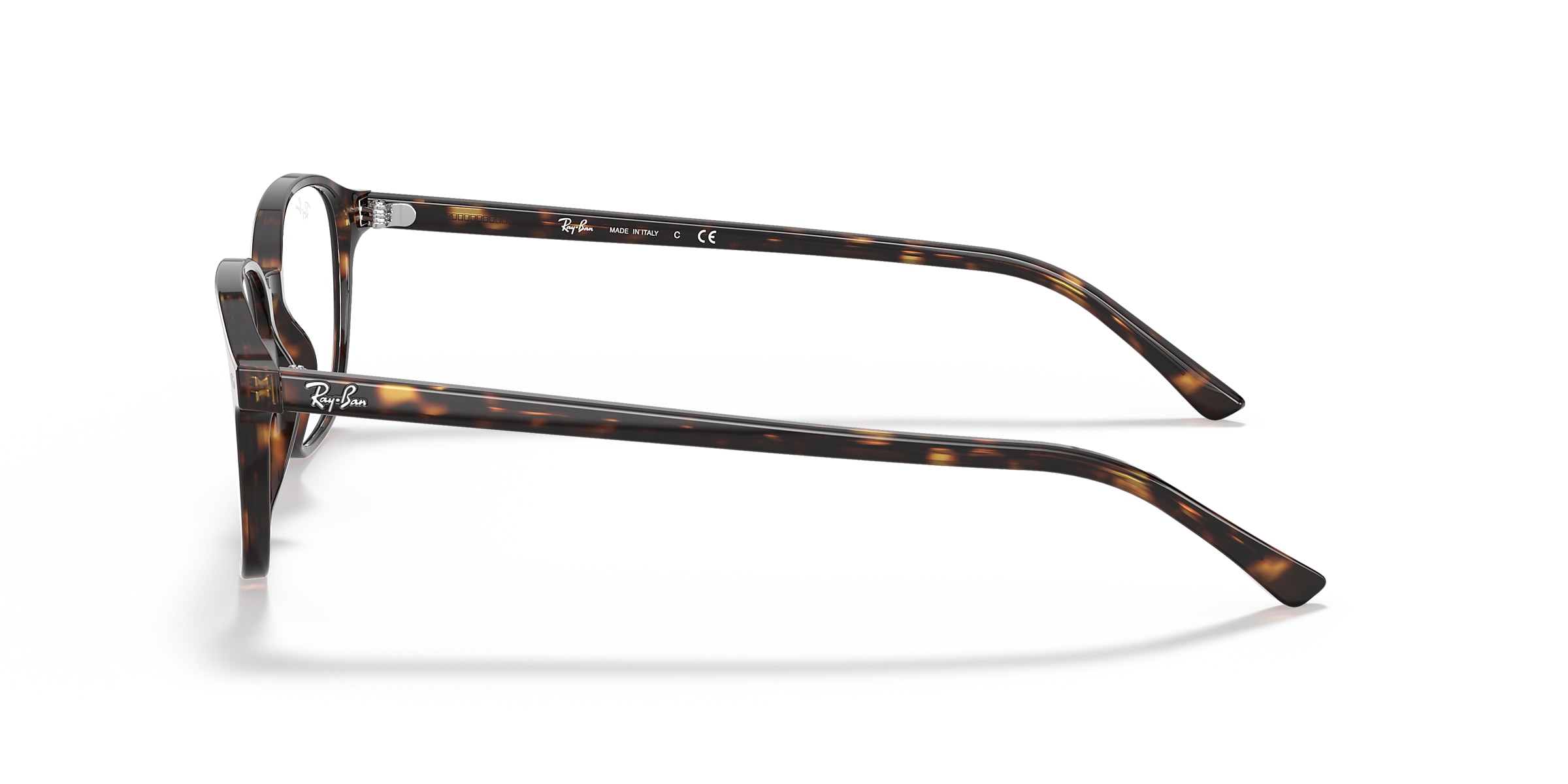 Ray-Ban Glasses RB5393 LEONARD OPTICS