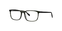 Clearly Glasses FOXTAIL