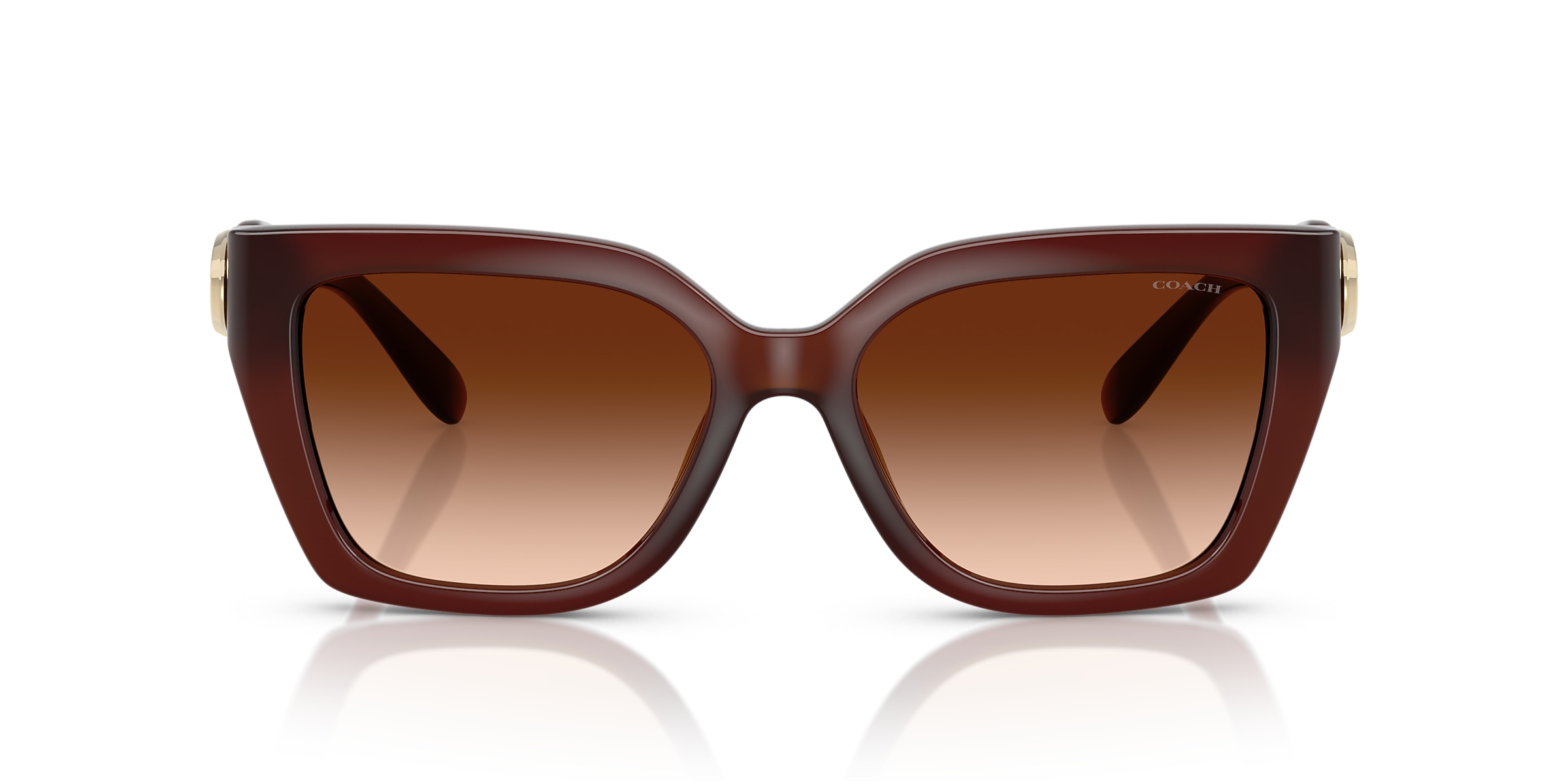 Coach Sunglasses HC8408U CW195