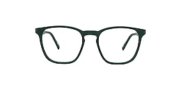 reincarnate Glasses pitta