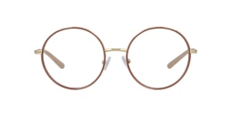 clearly Glasses biohrium