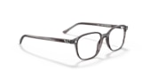 RB5393 LEONARD OPTICS