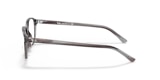 RB5393 LEONARD OPTICS