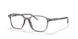 RB5393 LEONARD OPTICS