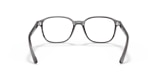 RB5393 LEONARD OPTICS