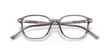 RB5393 LEONARD OPTICS