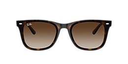 ray-ban Sunglasses rb4420