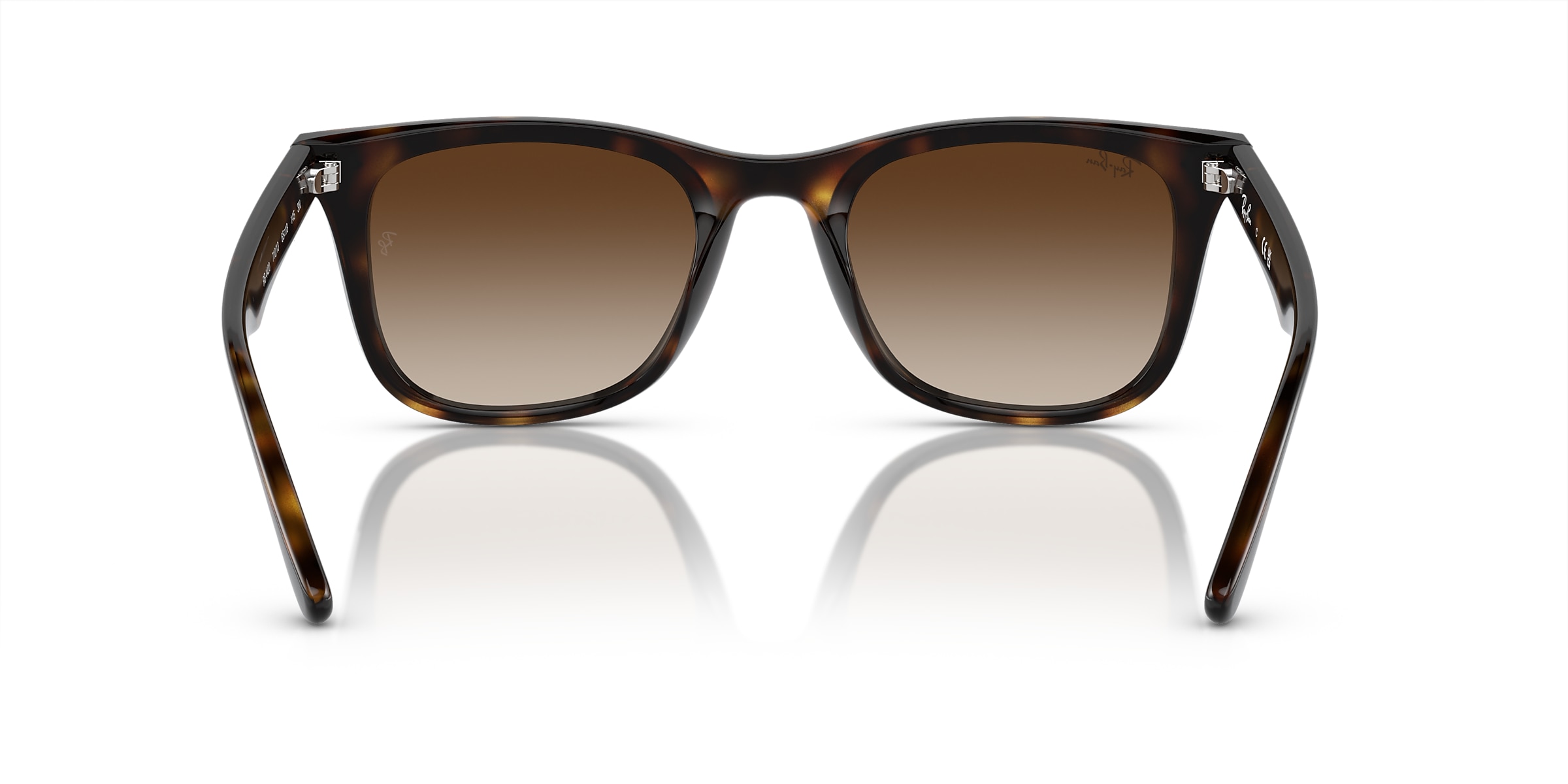 Ray-Ban Sunglasses RB4420