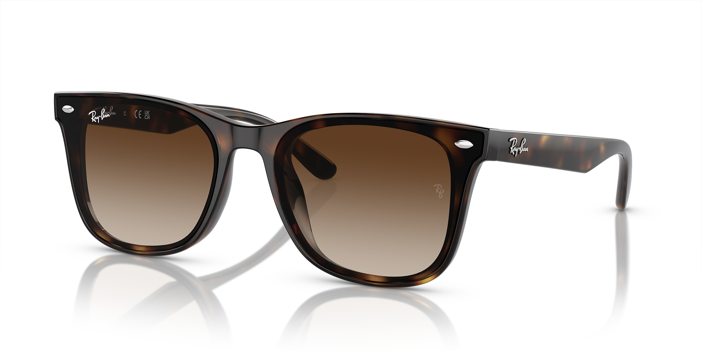 Ray-Ban Sunglasses RB4420