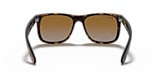 RB4165 JUSTIN CLASSIC