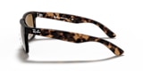 RB4165 JUSTIN CLASSIC