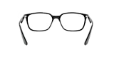 RB7176 OPTICS