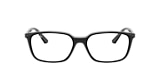 RB7176 OPTICS