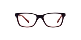 clearly Glasses fry