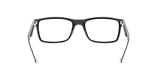 RB5287 OPTICS