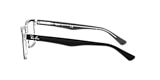 RB5287 OPTICS