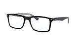 RB5287 OPTICS