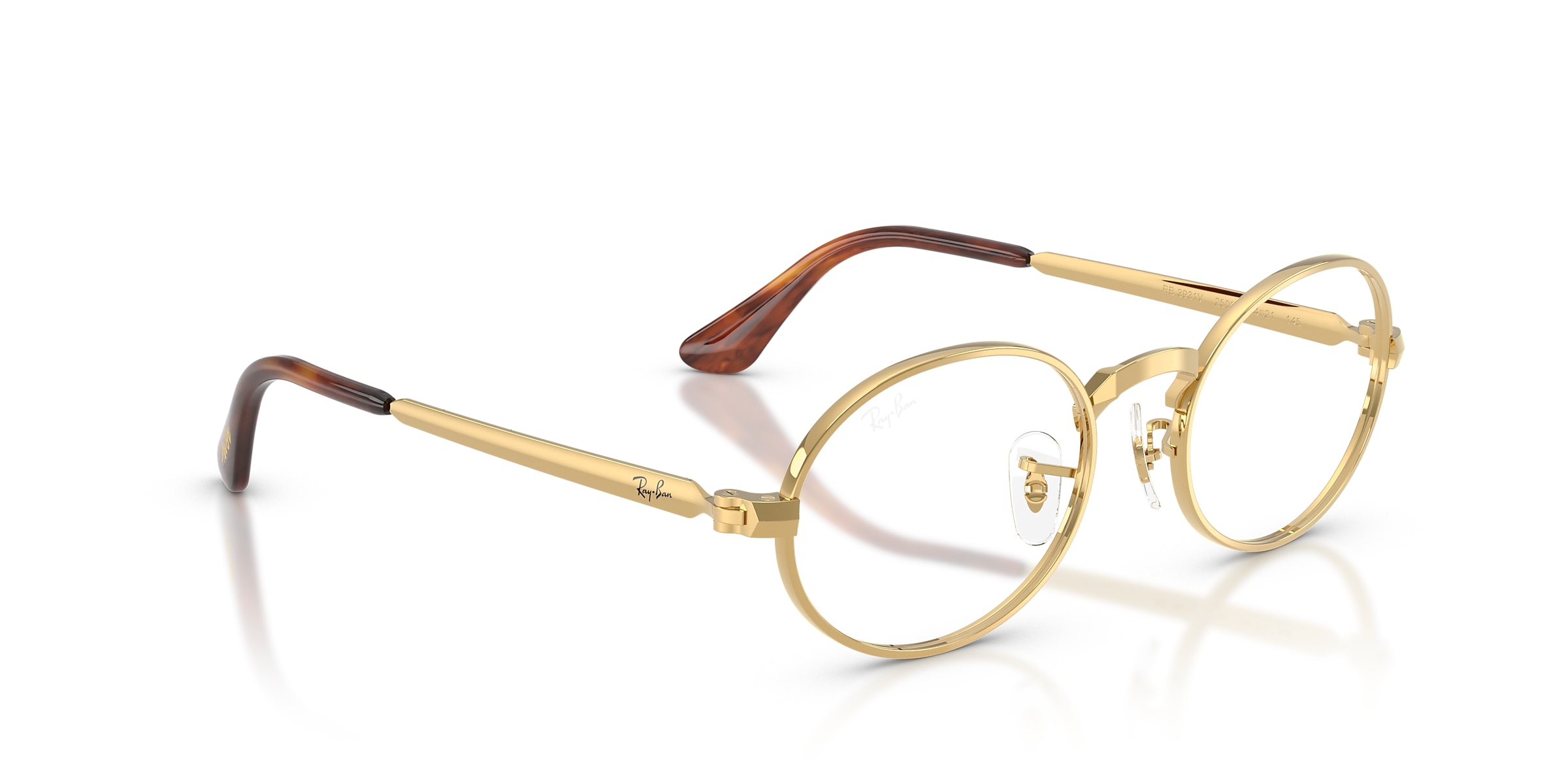 Ray-Ban Glasses RB3931V OPTICS BY A$AP ROCKY