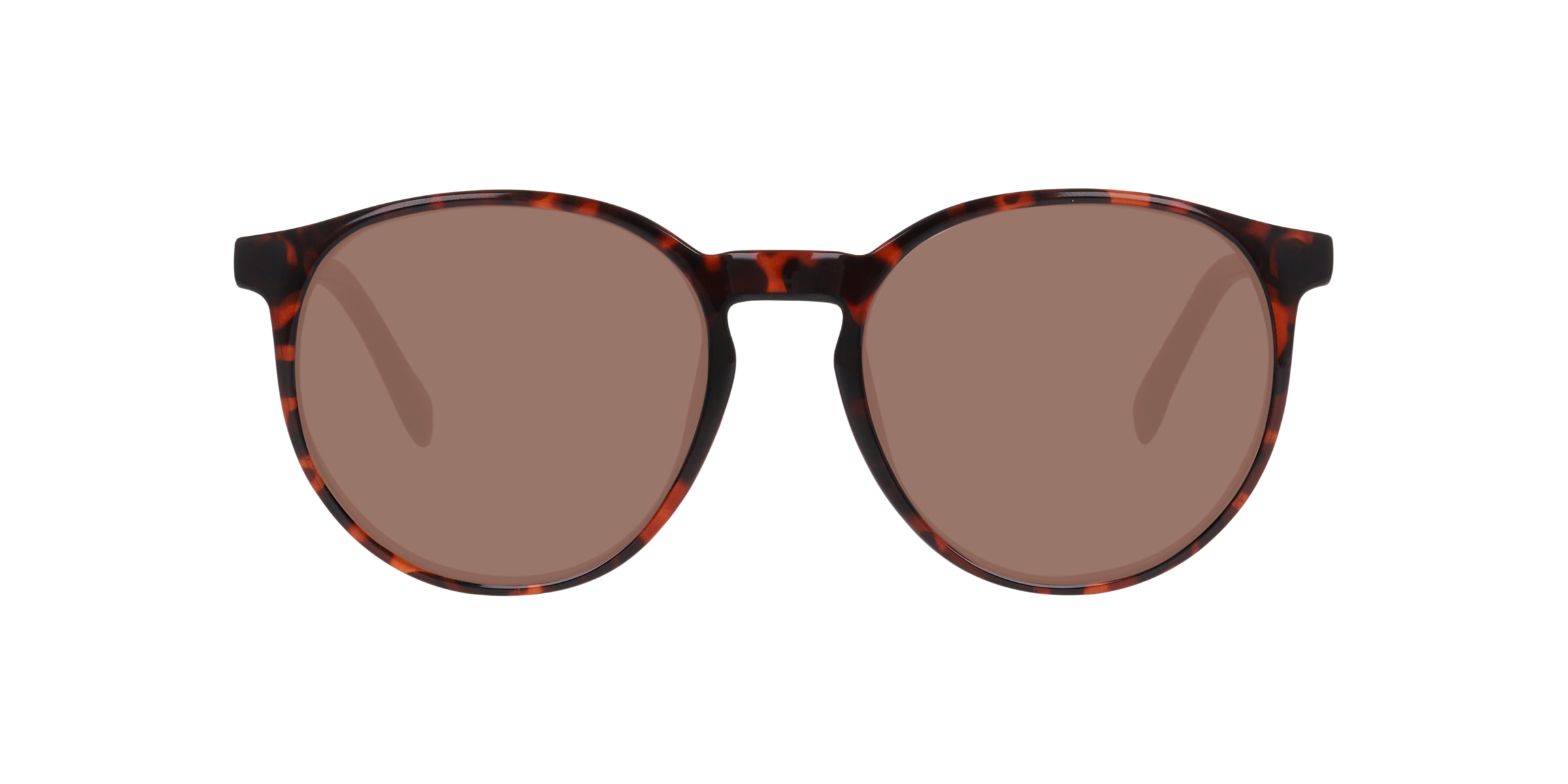 Clearly Sunglasses TELEMAIN