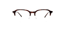 clearly Glasses carina