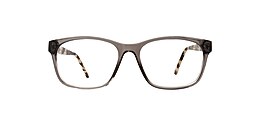 main and central Glasses turtle bay