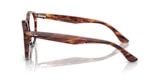 RB7680V LARRY OPTICS