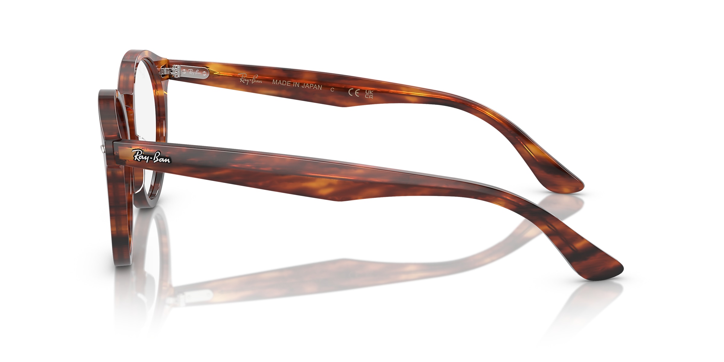 Ray-Ban Glasses RB7680V LARRY OPTICS