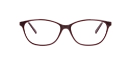 clearly Glasses wrede