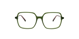 clearly Glasses dragon