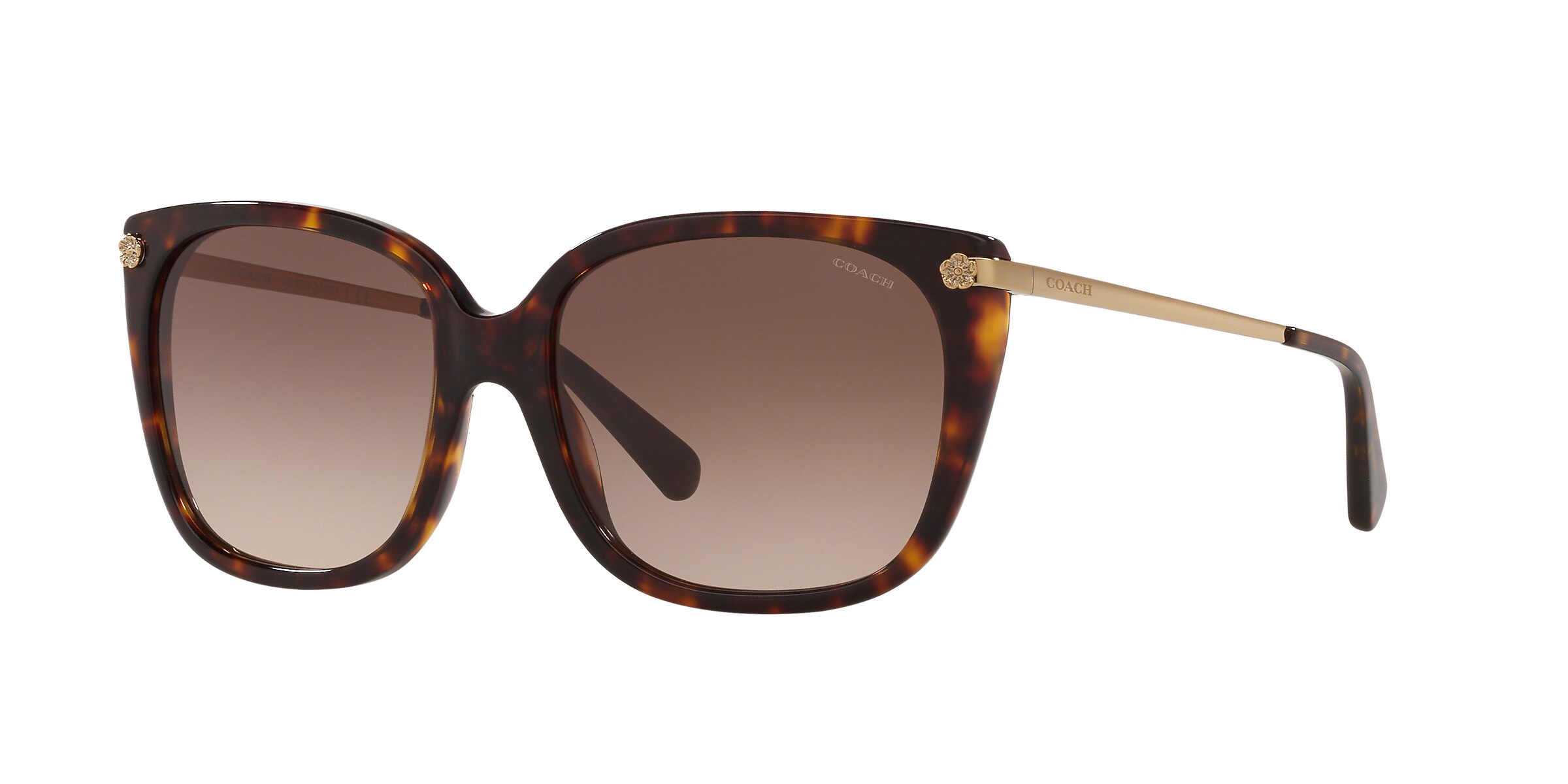 Coach Sunglasses HC8272 L1097