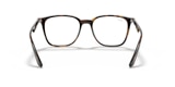 RB7177 OPTICS