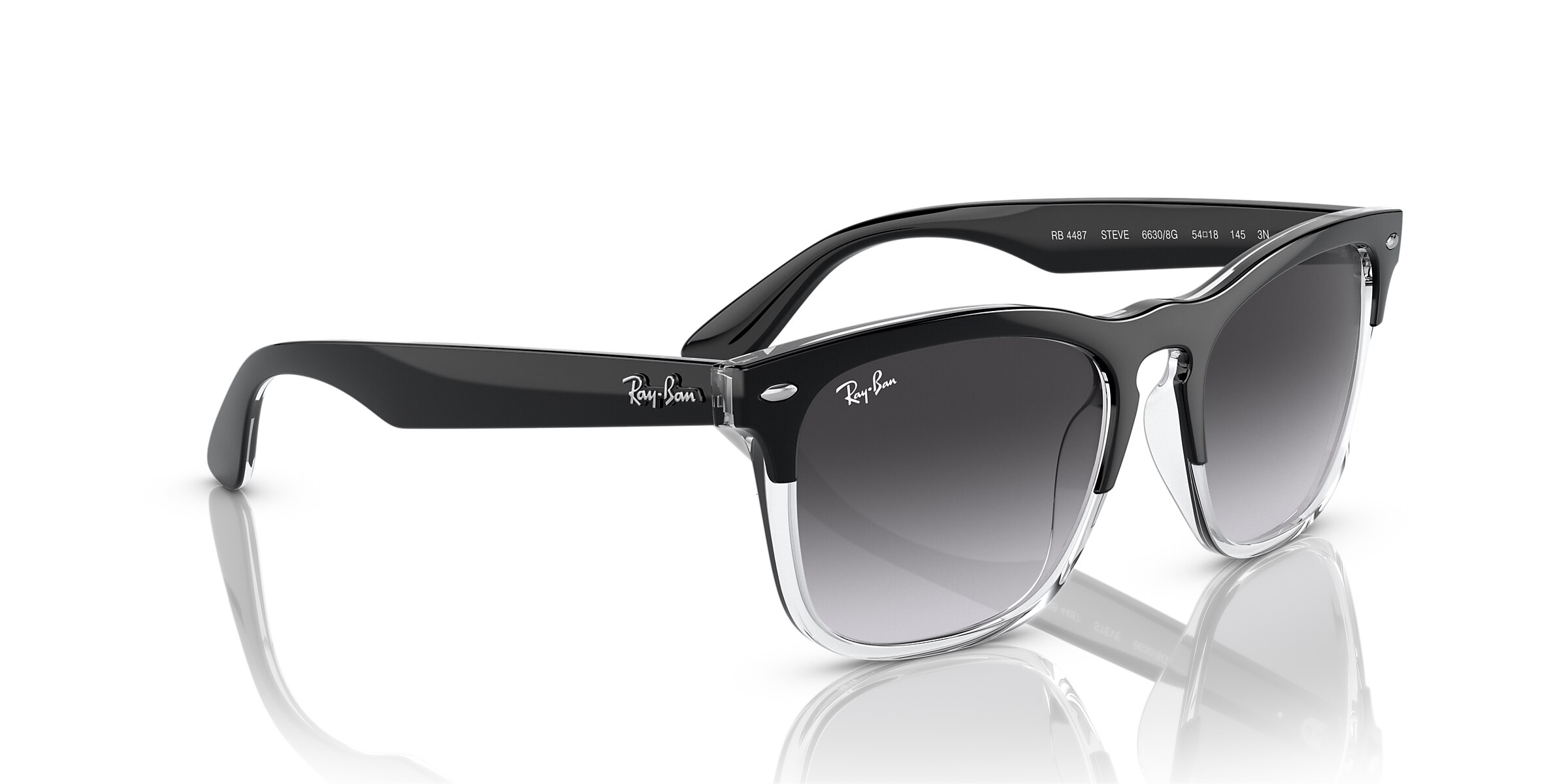 Ray-Ban Sunglasses RB4487 STEVE