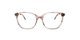 clearly Glasses hegemone