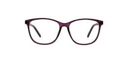 clearly Glasses fortune