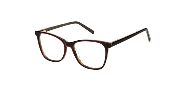 Clearly Glasses SHERBROOKE