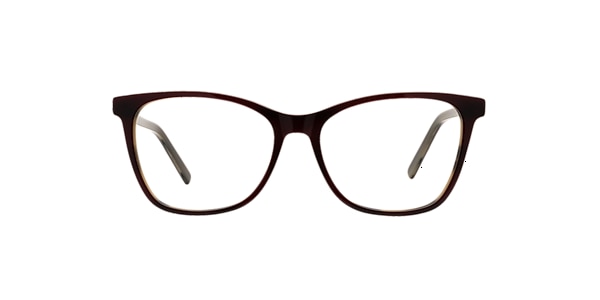 Clearly Glasses SHERBROOKE