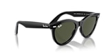 RB2241 WAYFARER WAY