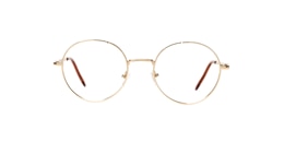clearly Glasses gander