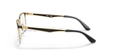 RB6363 OPTICS