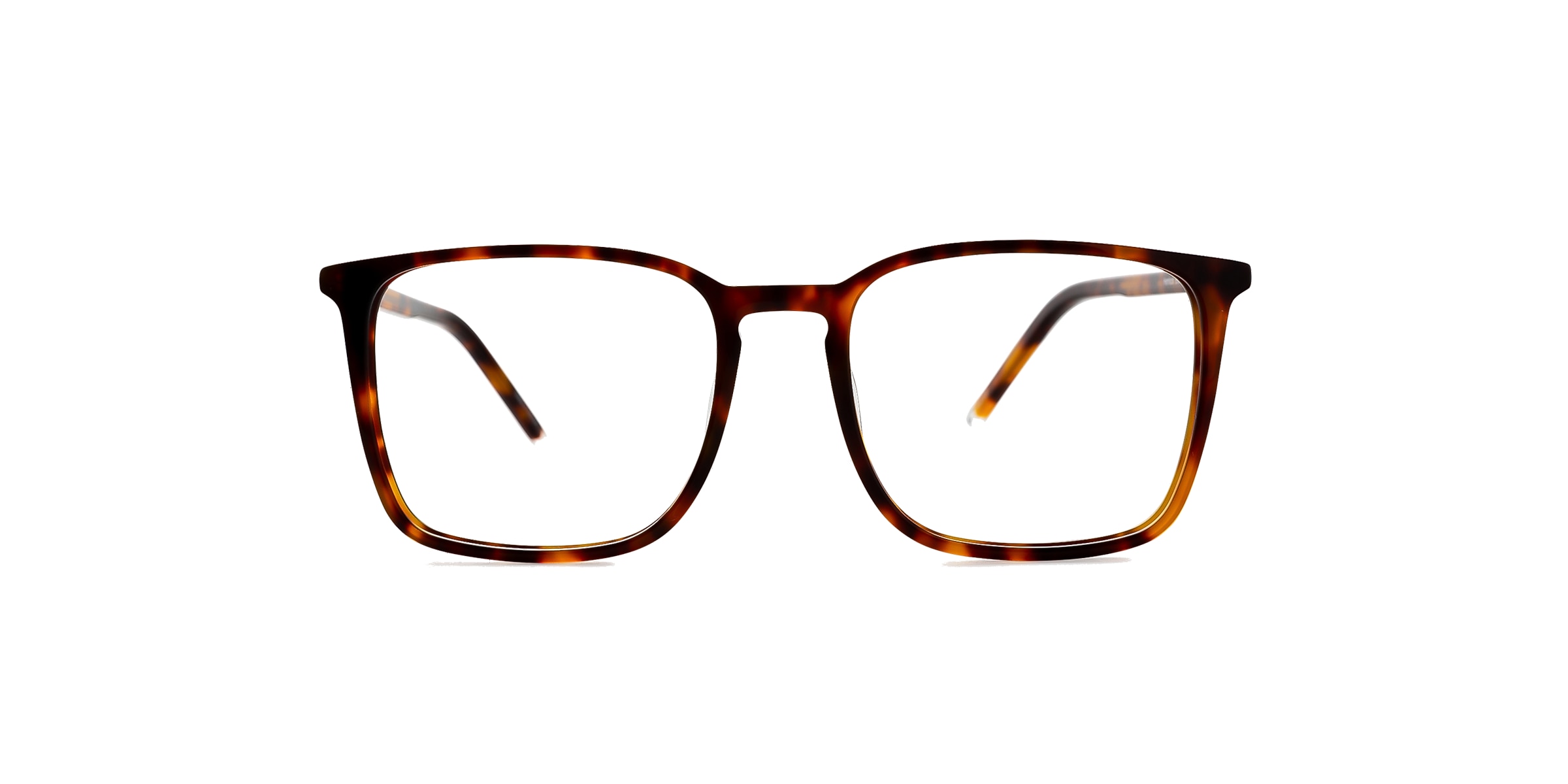 Clearly Glasses HEMLOCK