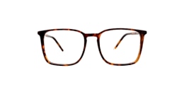 clearly Glasses hemlock