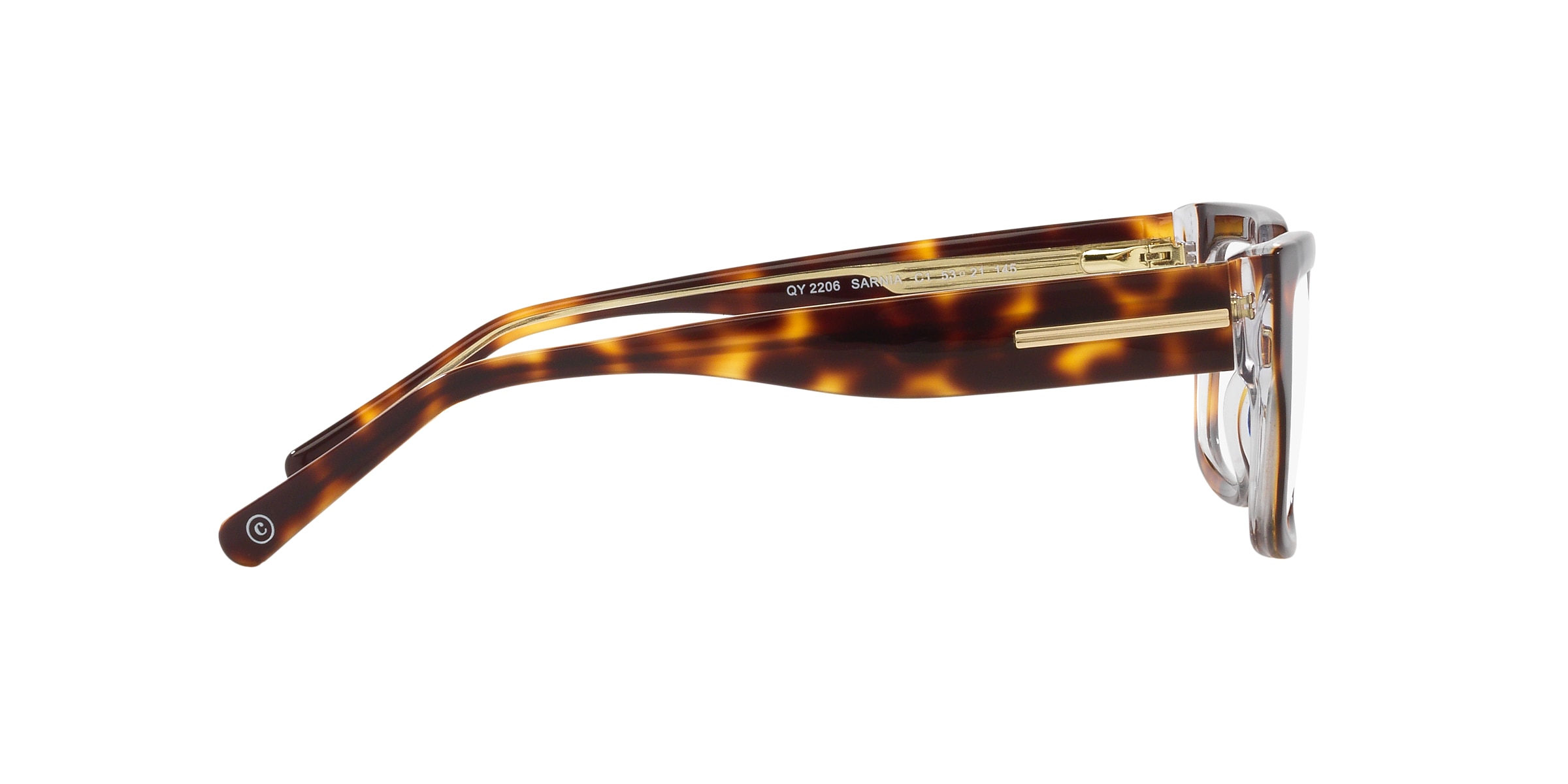 Clearly Glasses SARNIA