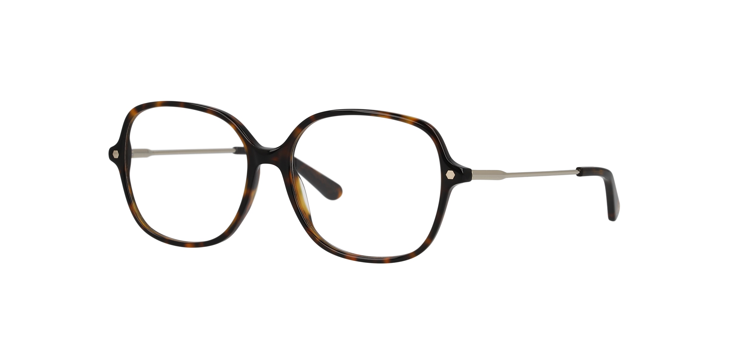 Clearly Glasses ELEPHANT