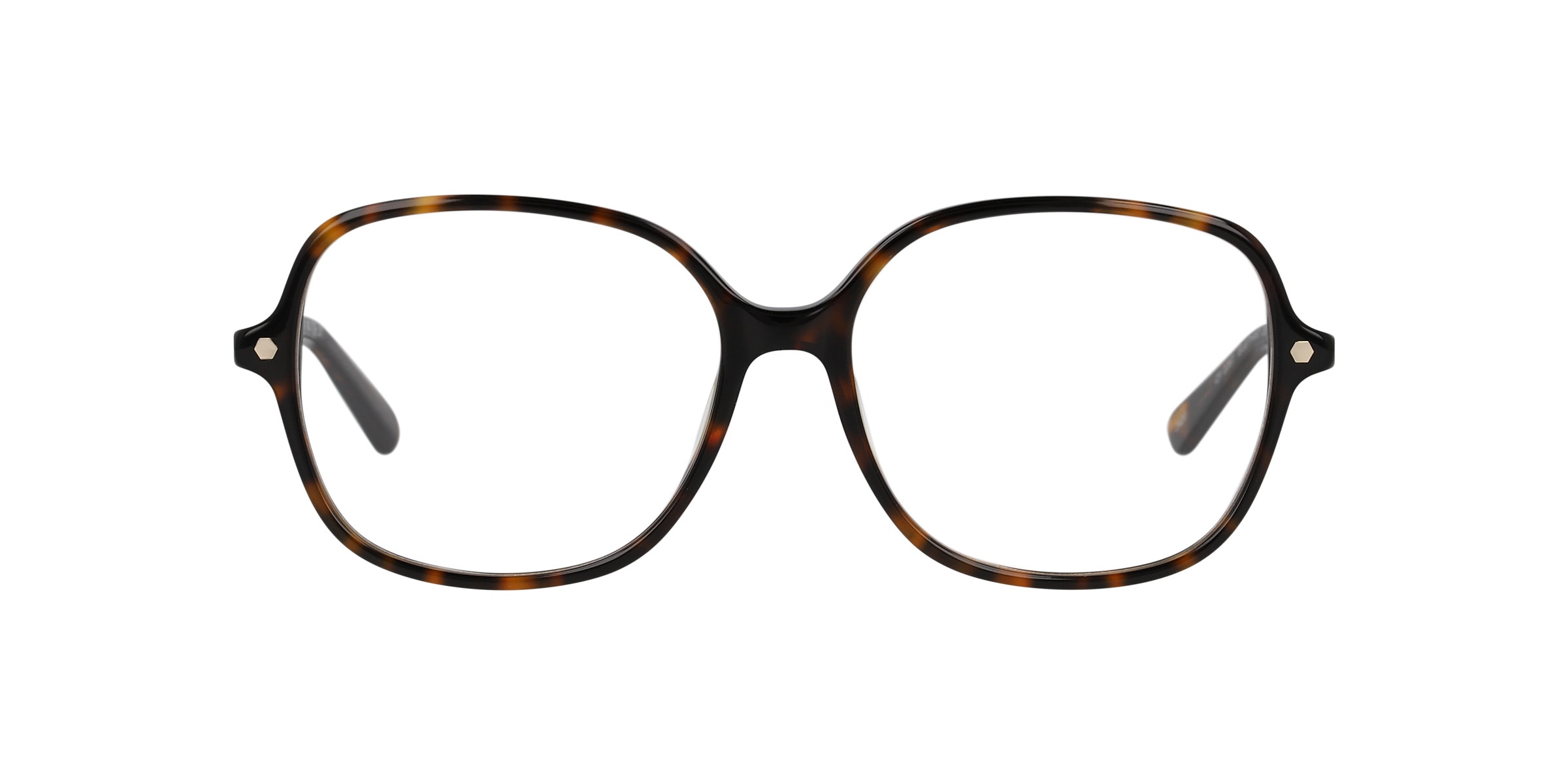 Clearly Glasses ELEPHANT