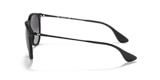 RB4171 ERIKA CLASSIC