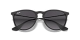 RB4171 ERIKA CLASSIC