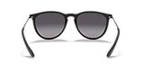 RB4171 ERIKA CLASSIC
