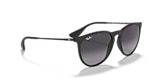 RB4171 ERIKA CLASSIC