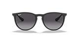 RB4171 ERIKA CLASSIC
