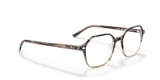 RB5394 JOHN OPTICS